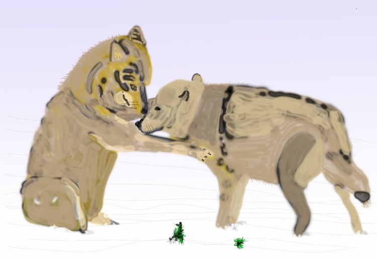 wolves in love  O921