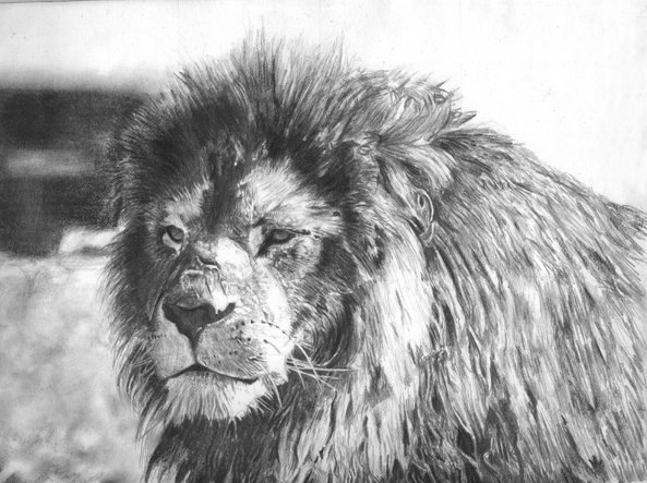 King of Beasts