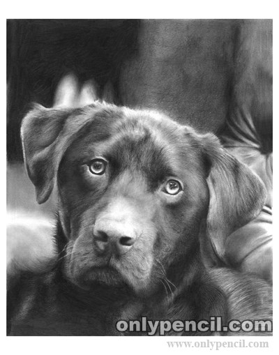 Luther Commission