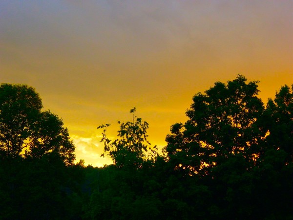 Twilight Time