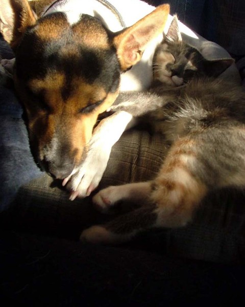 snooze