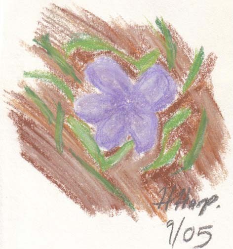 violet