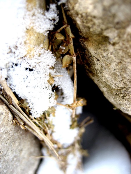 Falling Below