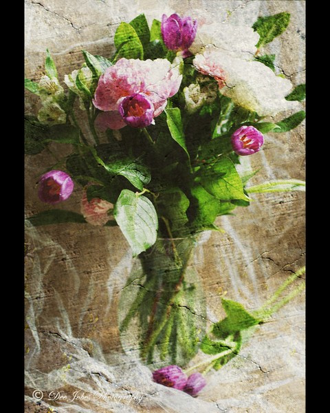 Inspired Beauty