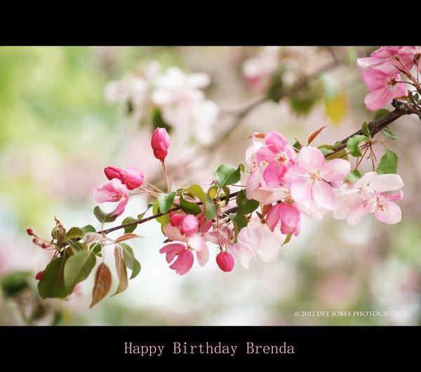 Happy Birthday Brenda