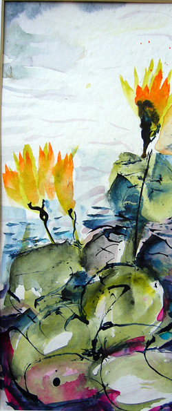 Waterlilies