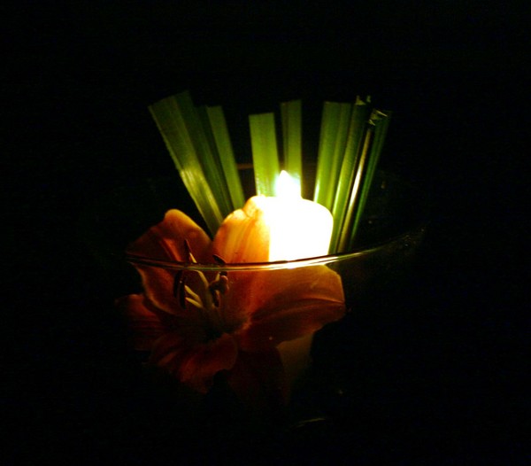 Flowers & Light