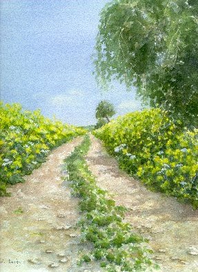 A Country Lane in Spring