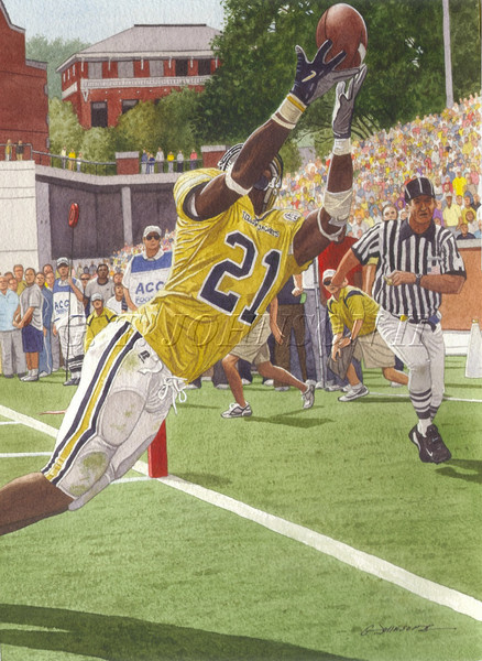 Yellow Jacket Catch