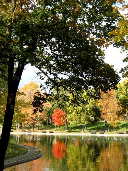Autumn In The Park (Fifteen)