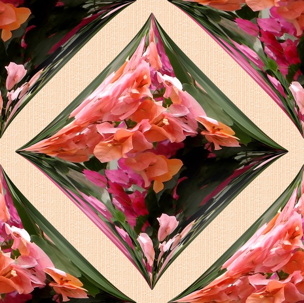 Pretty Pinks Design