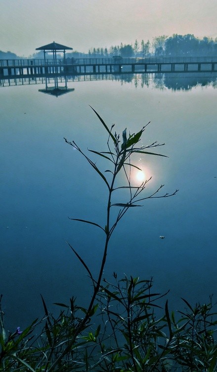 sun in water