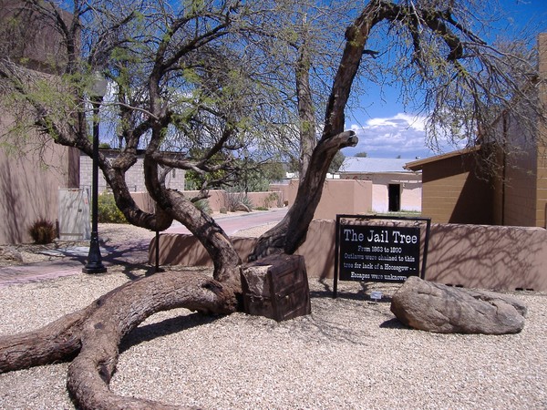 Jail Tree