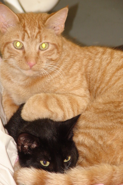 Wilbur and friend