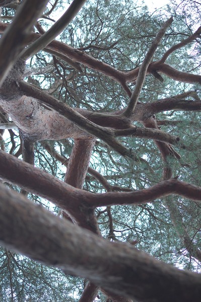 cAN YOU SEE ME