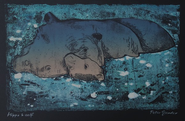 Hippo & calf