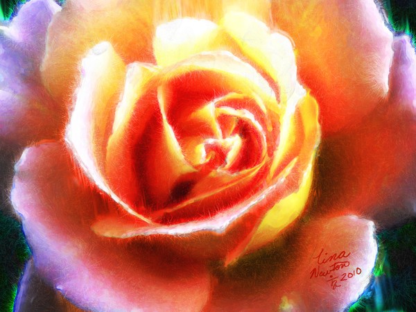 rose