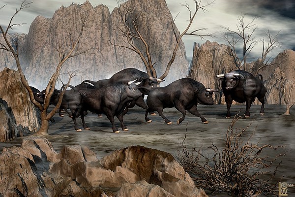 Stampede