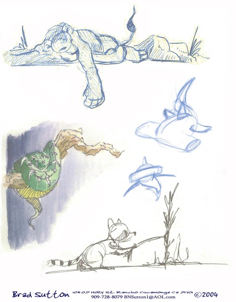 Animal Drawings