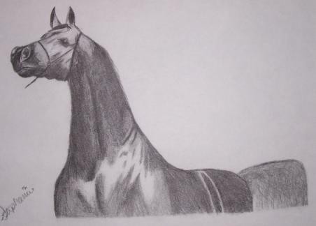Horse 