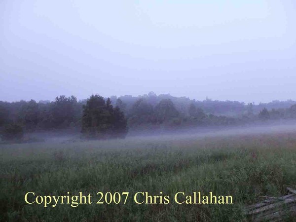 Misty field
