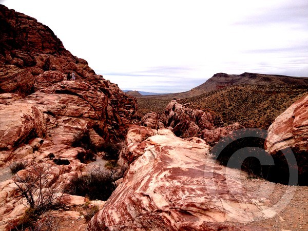 Red Rocks