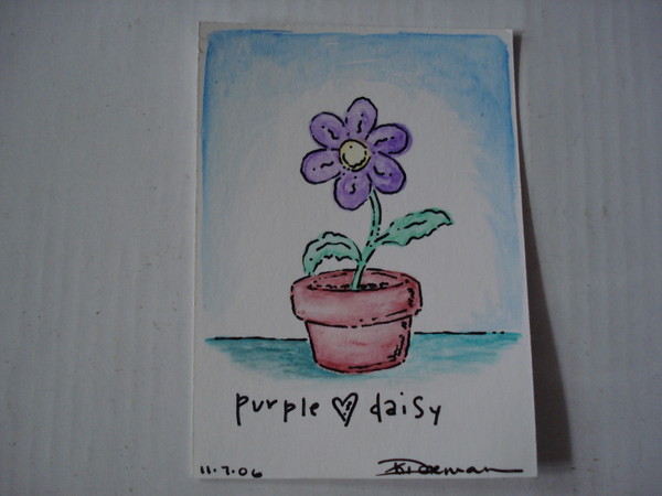 purple daisy