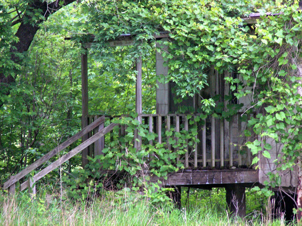 Old house in over growth 2