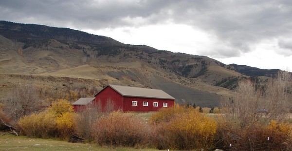 Country Scene
