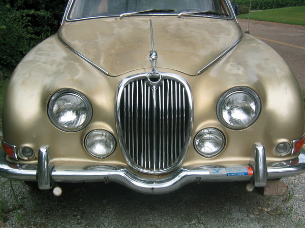 Jaguar