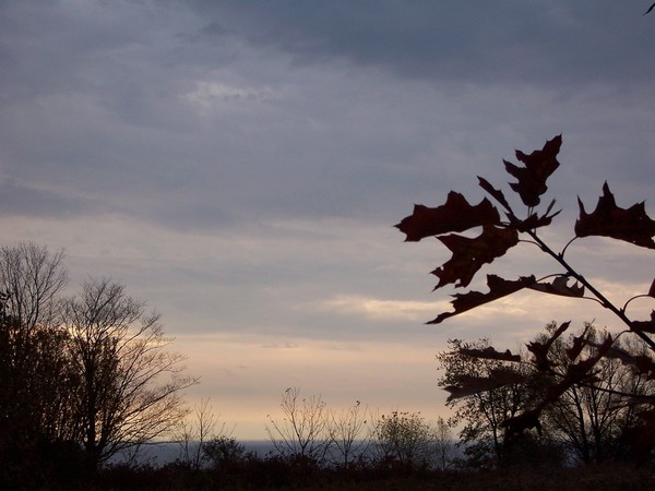 Sunset in November