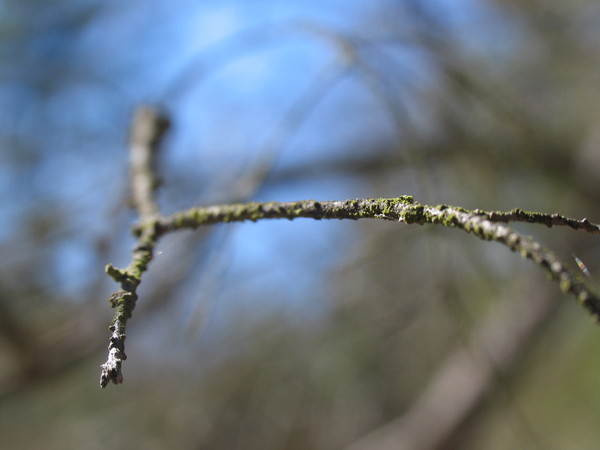 Sticky