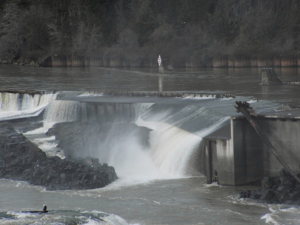 Oregon City Fish Ladder