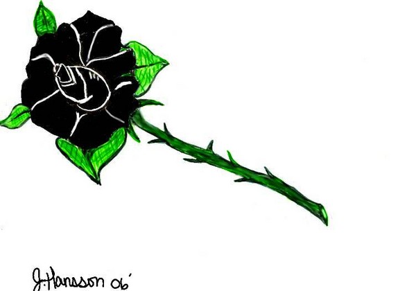 The Black Rose