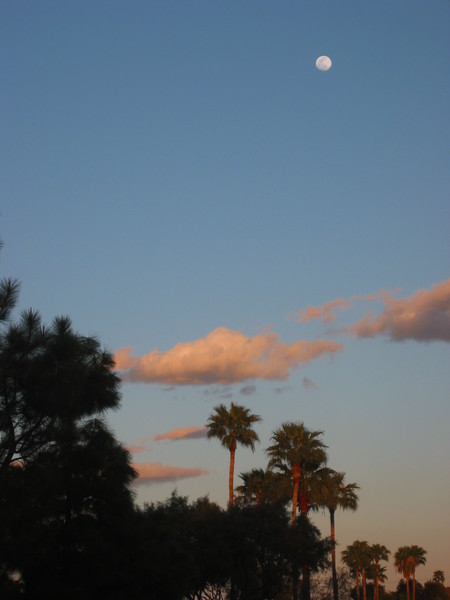 Moon Rise at Sun Set