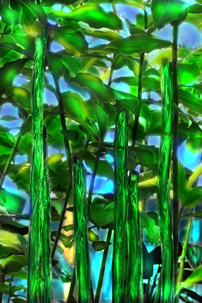 Dale Chihuly growing glass rods in the forest