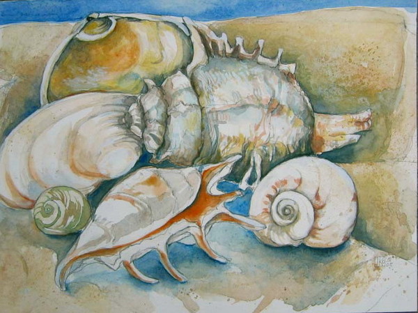 Shells
