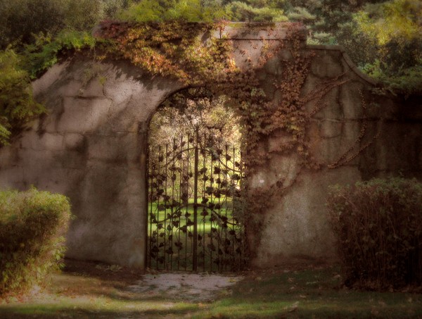 Garden Gate