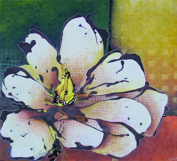 Pop (Magnolia)