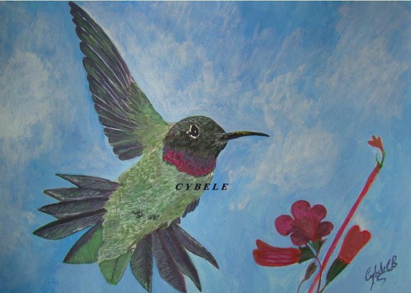 Humming-Bird