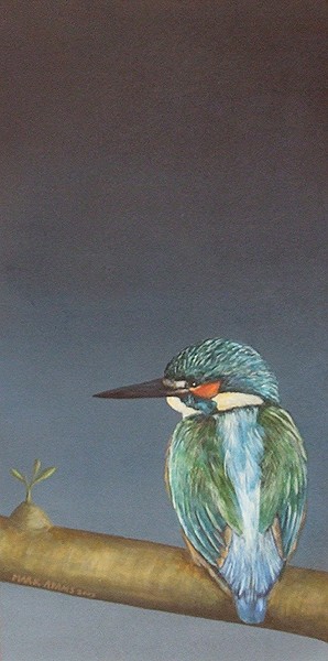 Kingfisher