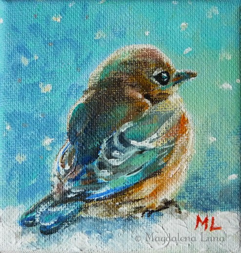 Winter bluebird