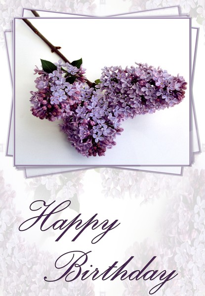 happy birthday lilac