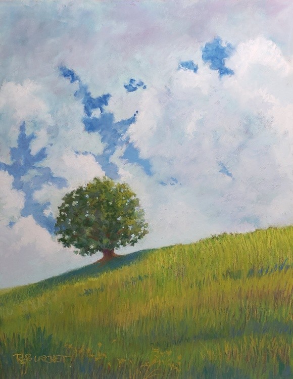Foothills I