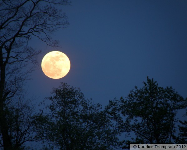 Full Summer Moon