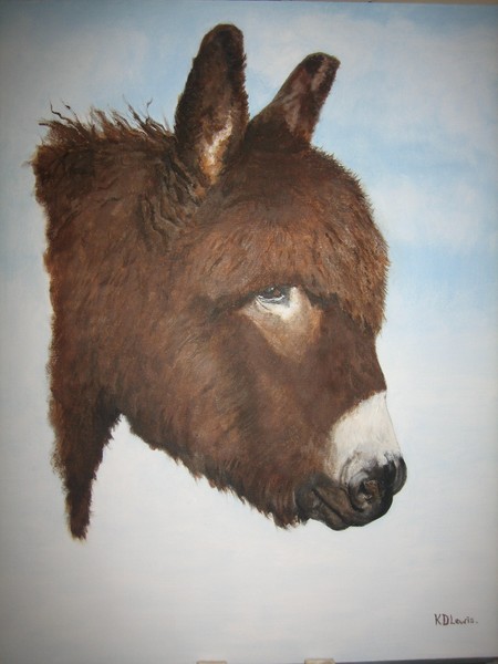 Dear Donkey