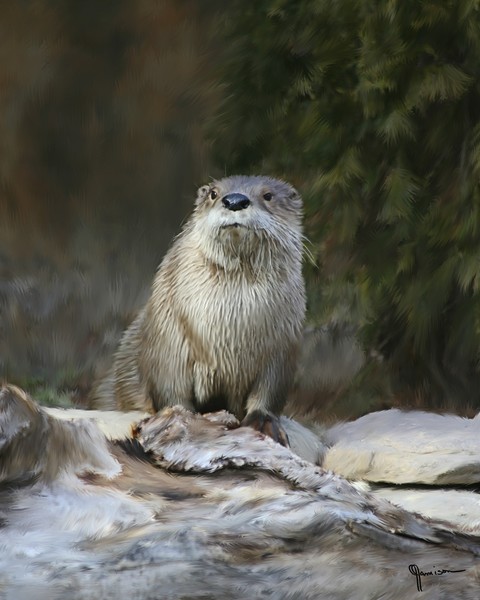 River Otter