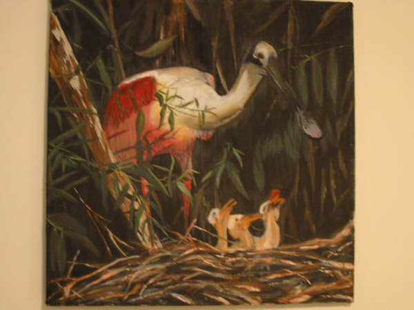 Spoonbill and babies