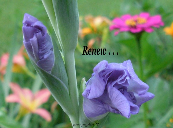 Renew