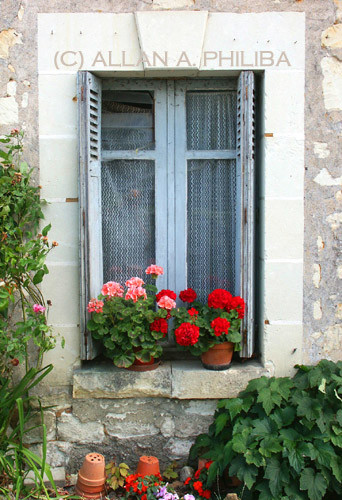 Window with flowers